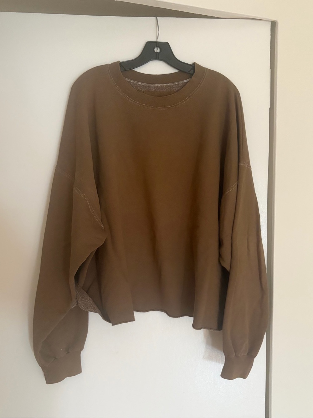 Rachel Comey Men's Crewneck Sweater in Brown